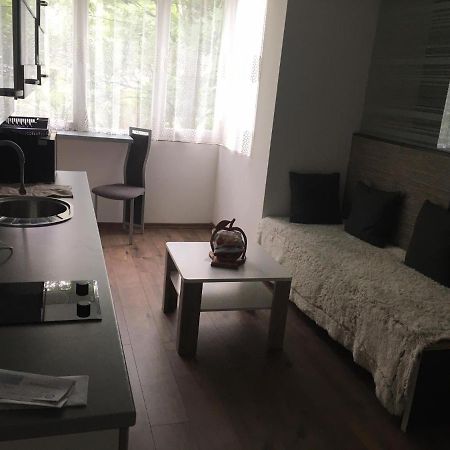 Apartment In The Center Of The Old City, Budzak 14 Sarajevo Exterior foto